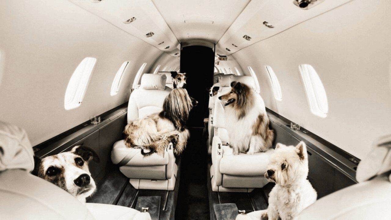 Your Trusted Partner in Private Aviation