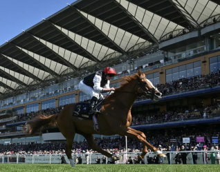 Royal Ascot Royal Ascot